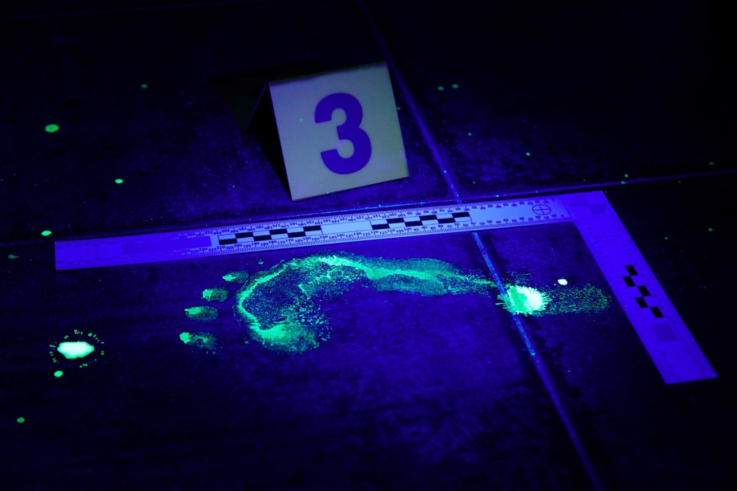 Corso FAD Sulla scena del Crimine Legal